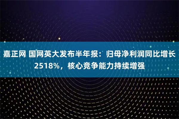 嘉正网 国网英大发布半年报：归母净利润同比增长2518%，核心竞争能力持续增强