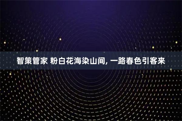 智策管家 粉白花海染山间, 一路春色引客来